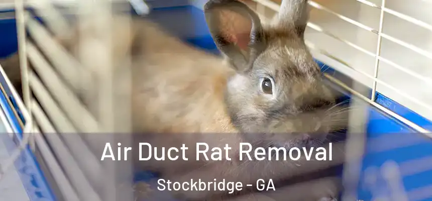 Air Duct Rat Removal Stockbridge - GA