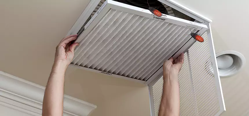 Preventive Cockroach-Proofing for Ducts in Stockbridge