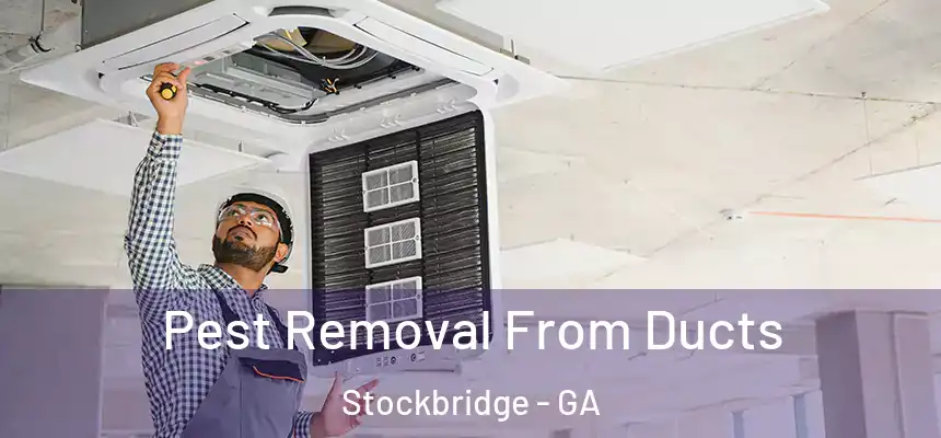  Pest Removal From Ducts Stockbridge - GA