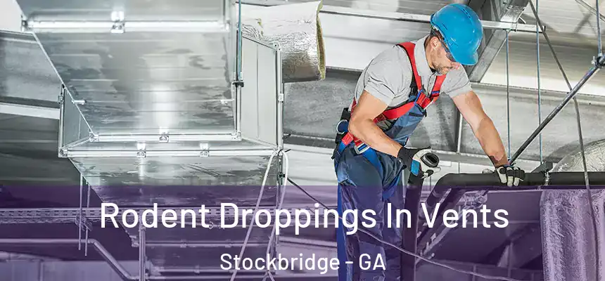  Rodent Droppings In Vents Stockbridge - GA