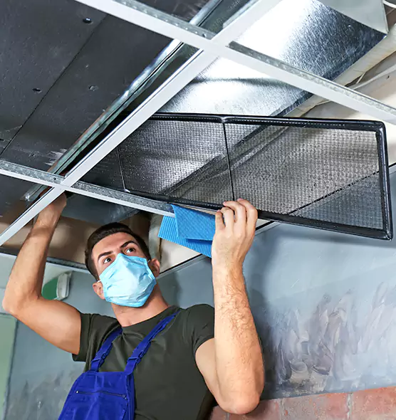 About Air Duct Bacteria Removal in Stockbridge