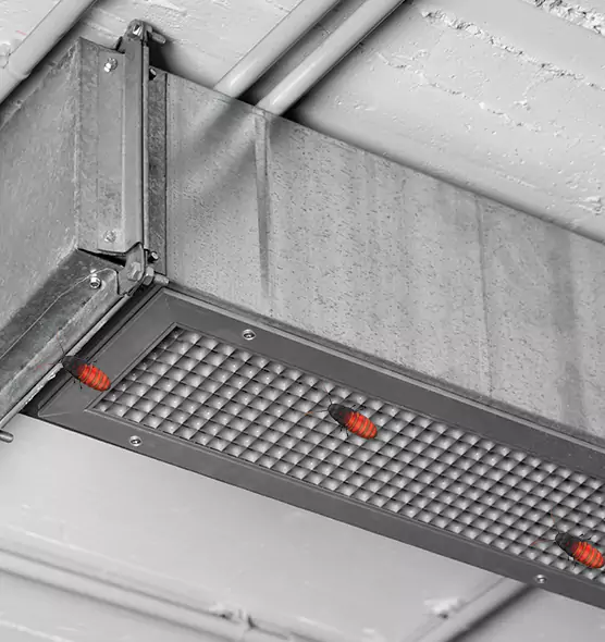 About Air Duct Cockroach Removal in Stockbridge, GA
