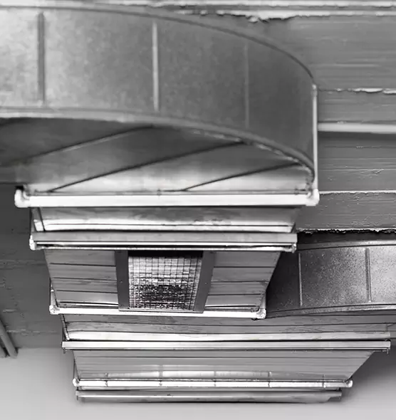 Professional Air Duct Pest Removal in Stockbridge, GA