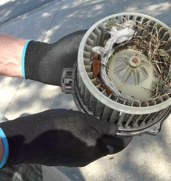 About Air Duct Rat Removal in Stockbridge, GA