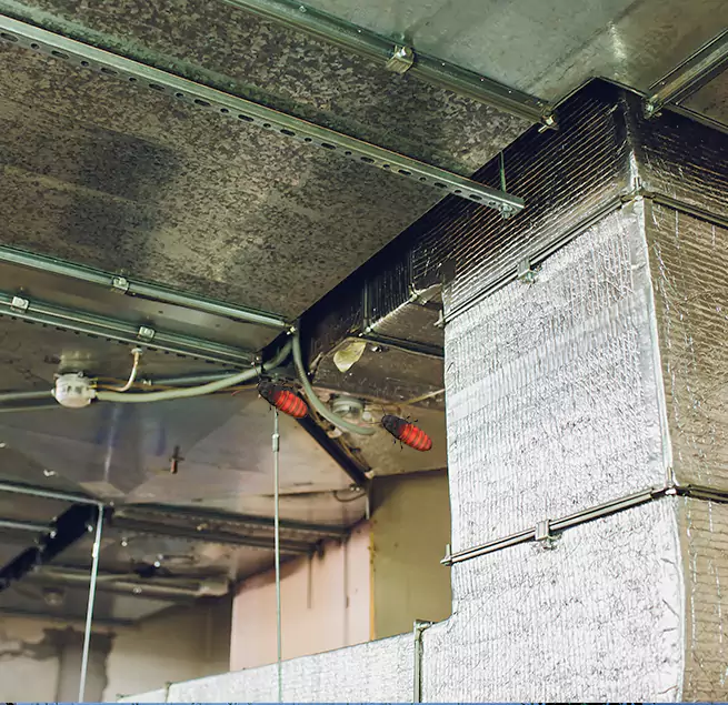 Why Homeowners & Businesses Trust Us in Stockbridge, GA?