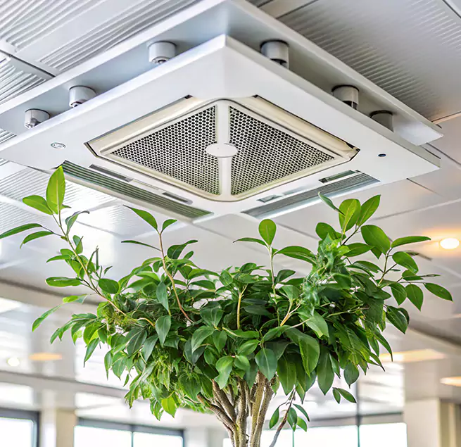 Why Homeowners & Businesses Trust Us in Stockbridge, GA